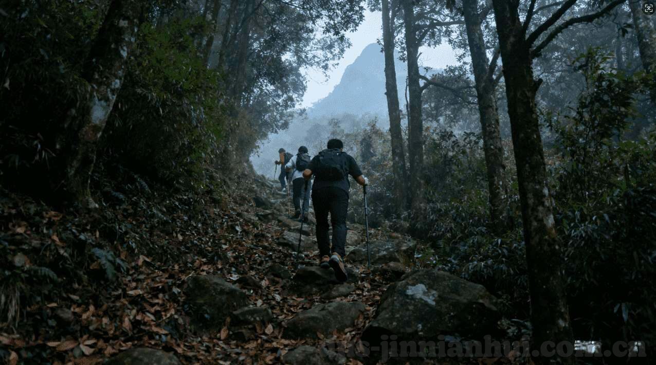 奥门搏彩世界杯盘口-奥门搏彩世界杯盘口，理解与分析